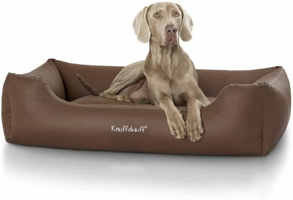 Hundebett Xxl Top Modelle F R Gro E Hunde Im Test