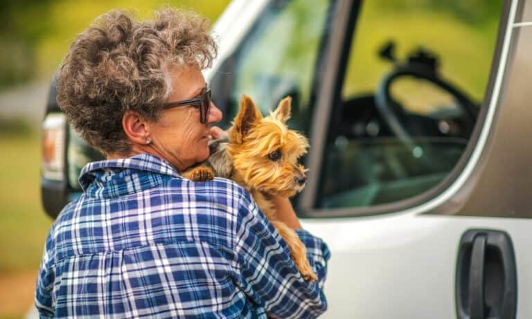 Hund Im Wohnmobil Transportieren Ein Profi Kl Rt Auf