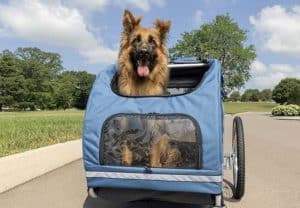 Fahrradanhänger Hund gefedert 2021
