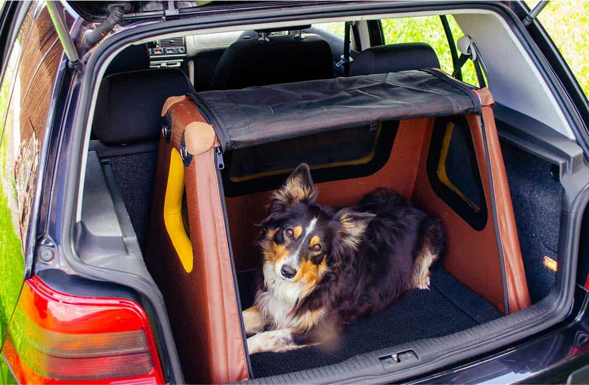 HundeBox mit Airbagfunktion für den Rücksitz