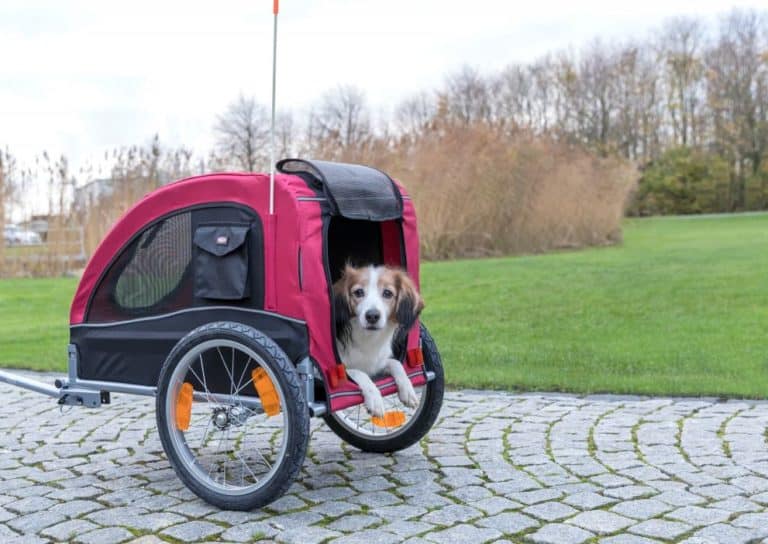 Top 5 Hunde Fahrradanhänger für EBikes in 2021 im Test