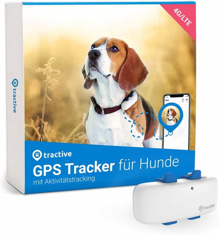Die 5 besten Hunde GPS Tracker ohne Abo im Test (2021)