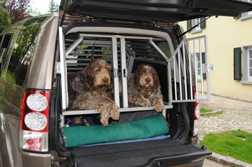 Hundetransportbox
