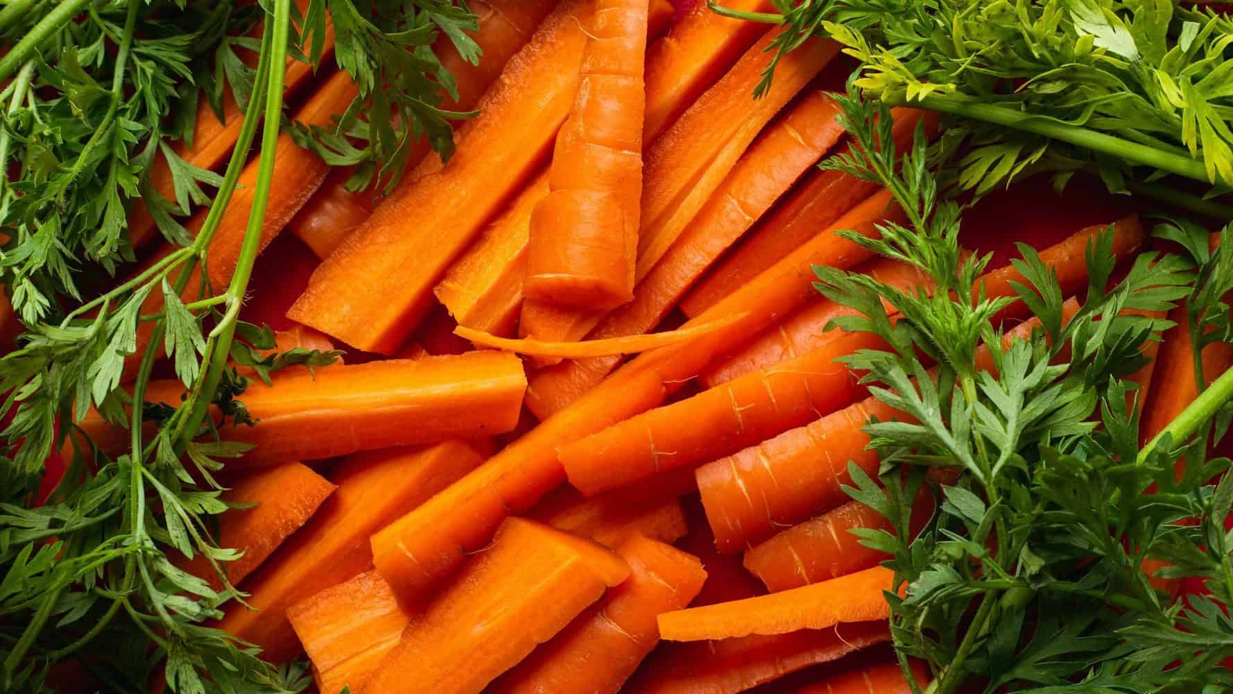 Karotten für Hunde
