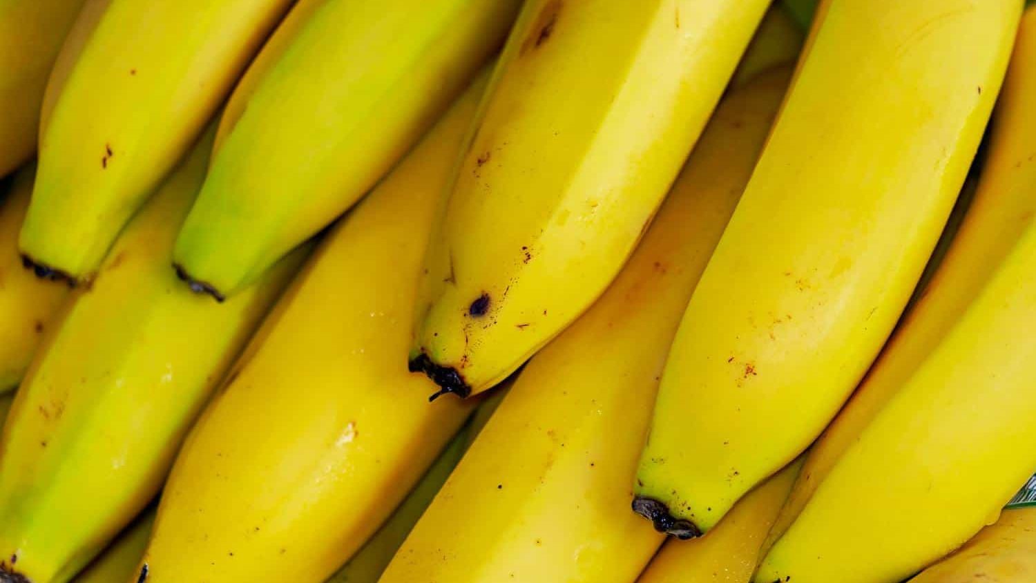 Dürfen Hunde Bananen Essen
