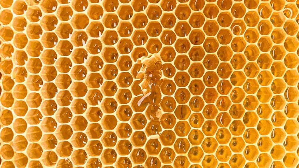 Bienenwaben gefüllt mit Honig