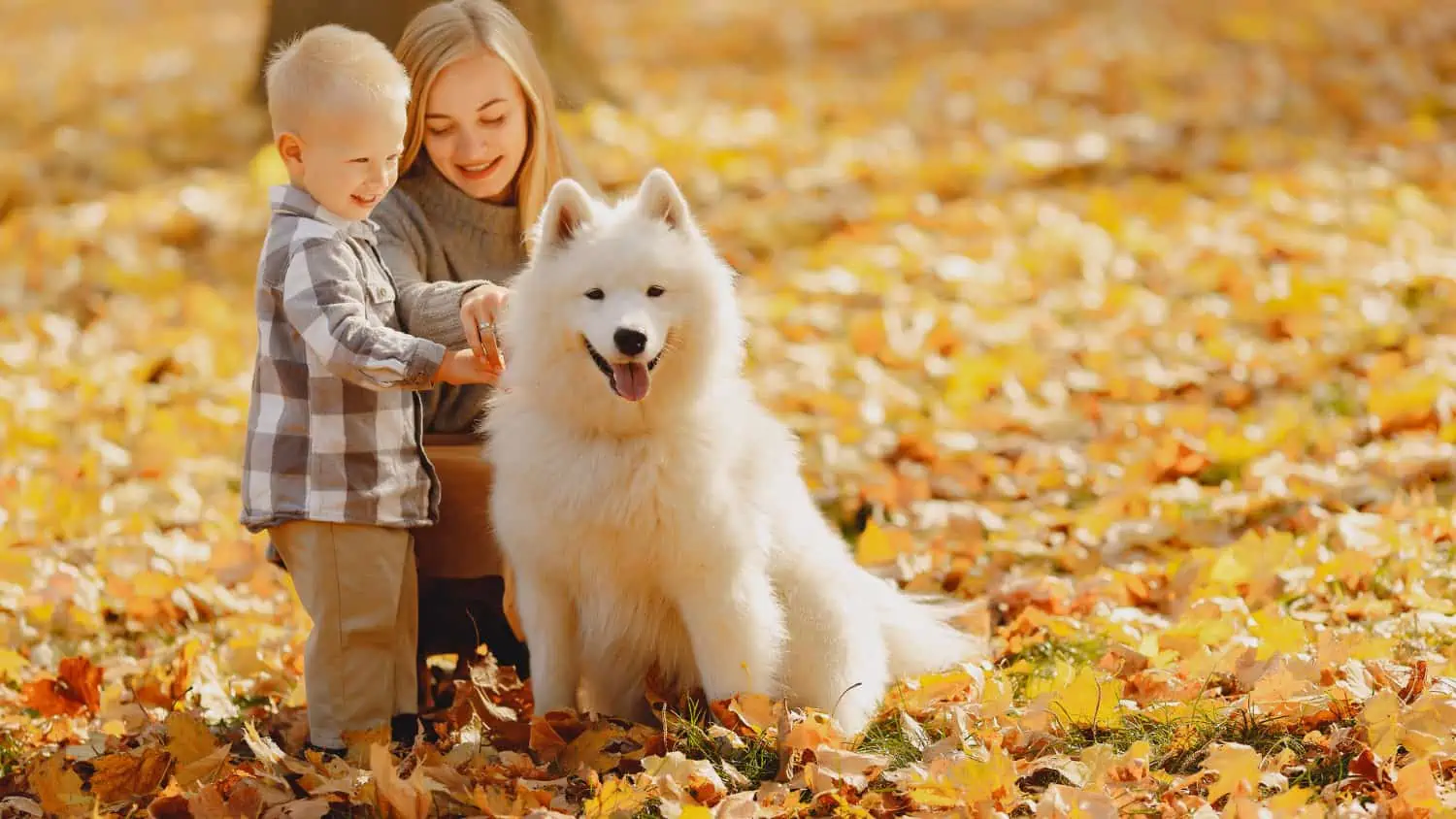 Kind mit Mutter und Hund am Bellen