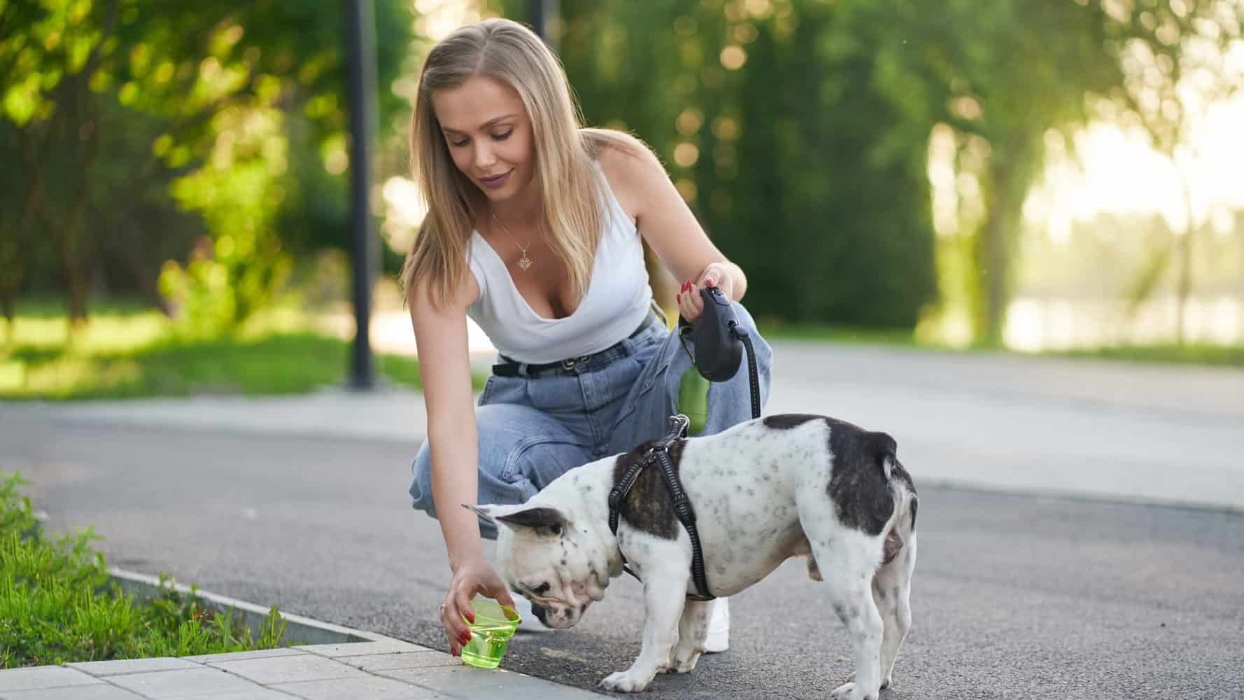 Frau im Park mit Hund und Hundeleine für kleine Hunde
