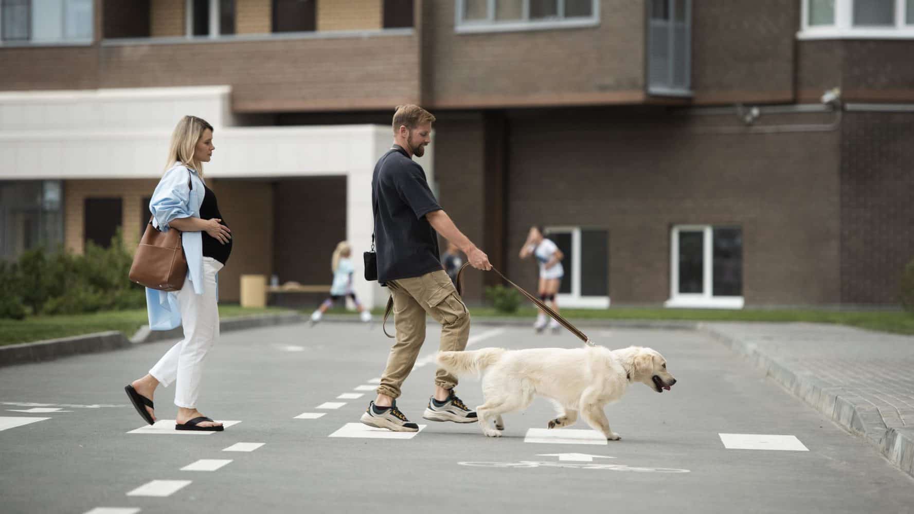 Junges Paar geht mit ihrem Hund und einer gummierten Hundeleine Gassi