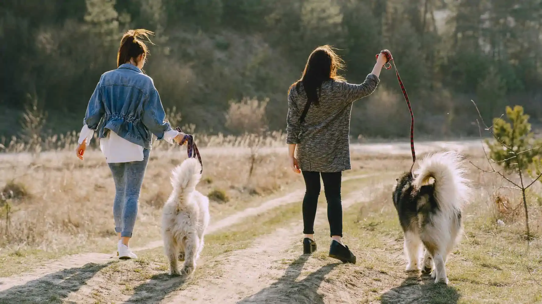 Zwei Mädchen gehen mit ihren Hunden spazieren und Hundeleine für große Hunde