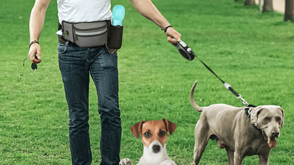 Bauchtasche Hundetraining