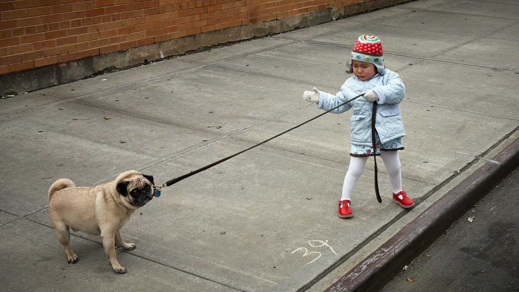 Kind mit Hundeleine für stark ziehende Hunde