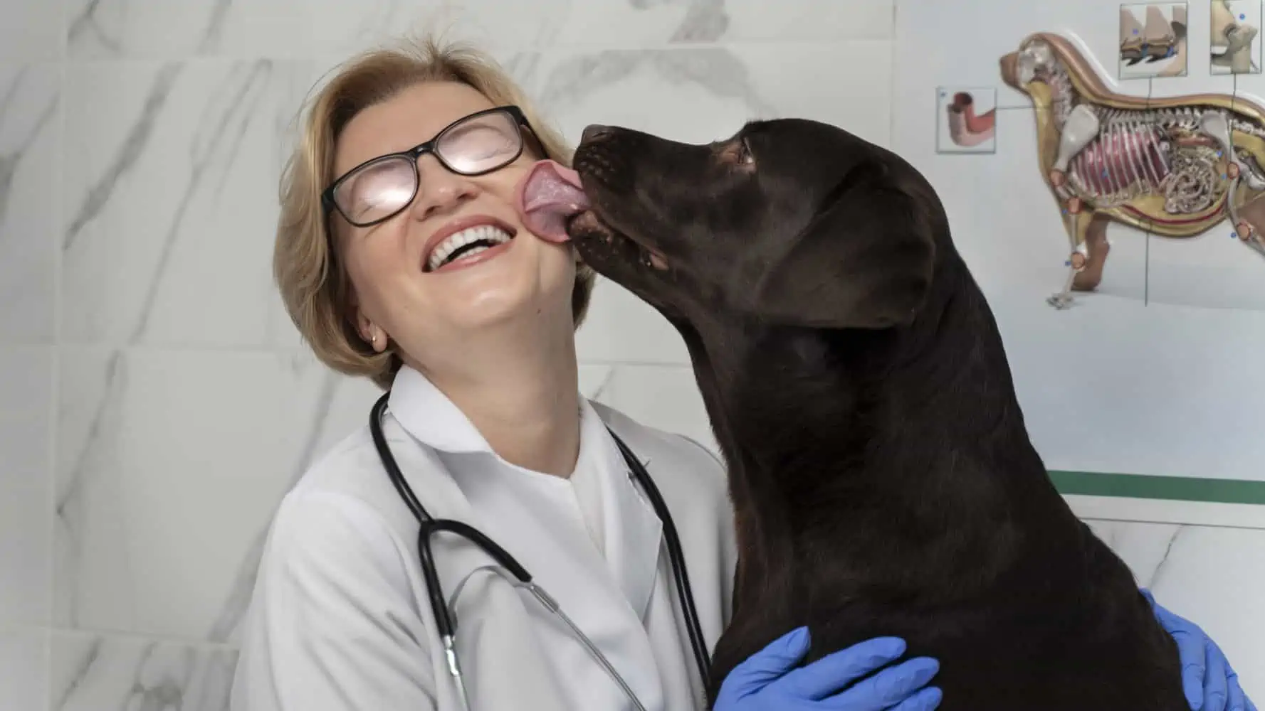 warum lecken hunde einen ab tierarzt