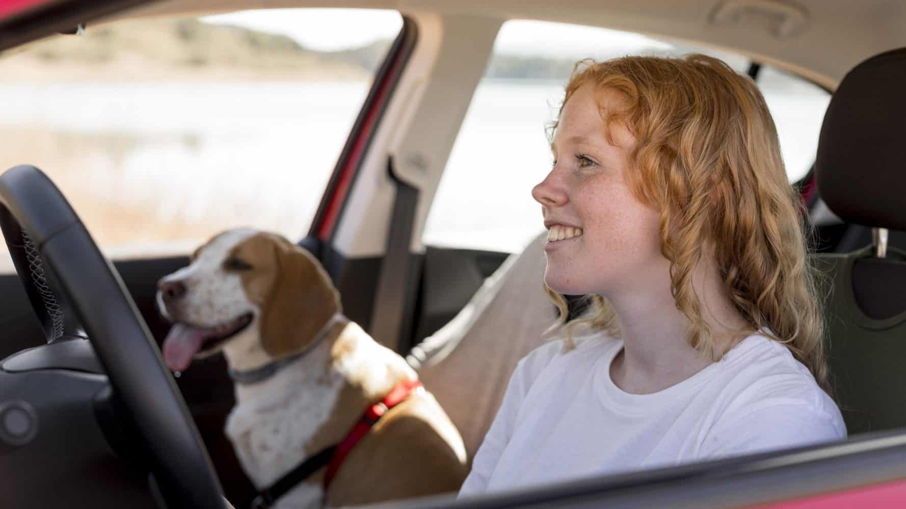 Hund Autofahren: 6 Ursachen & Tipps vom Profi