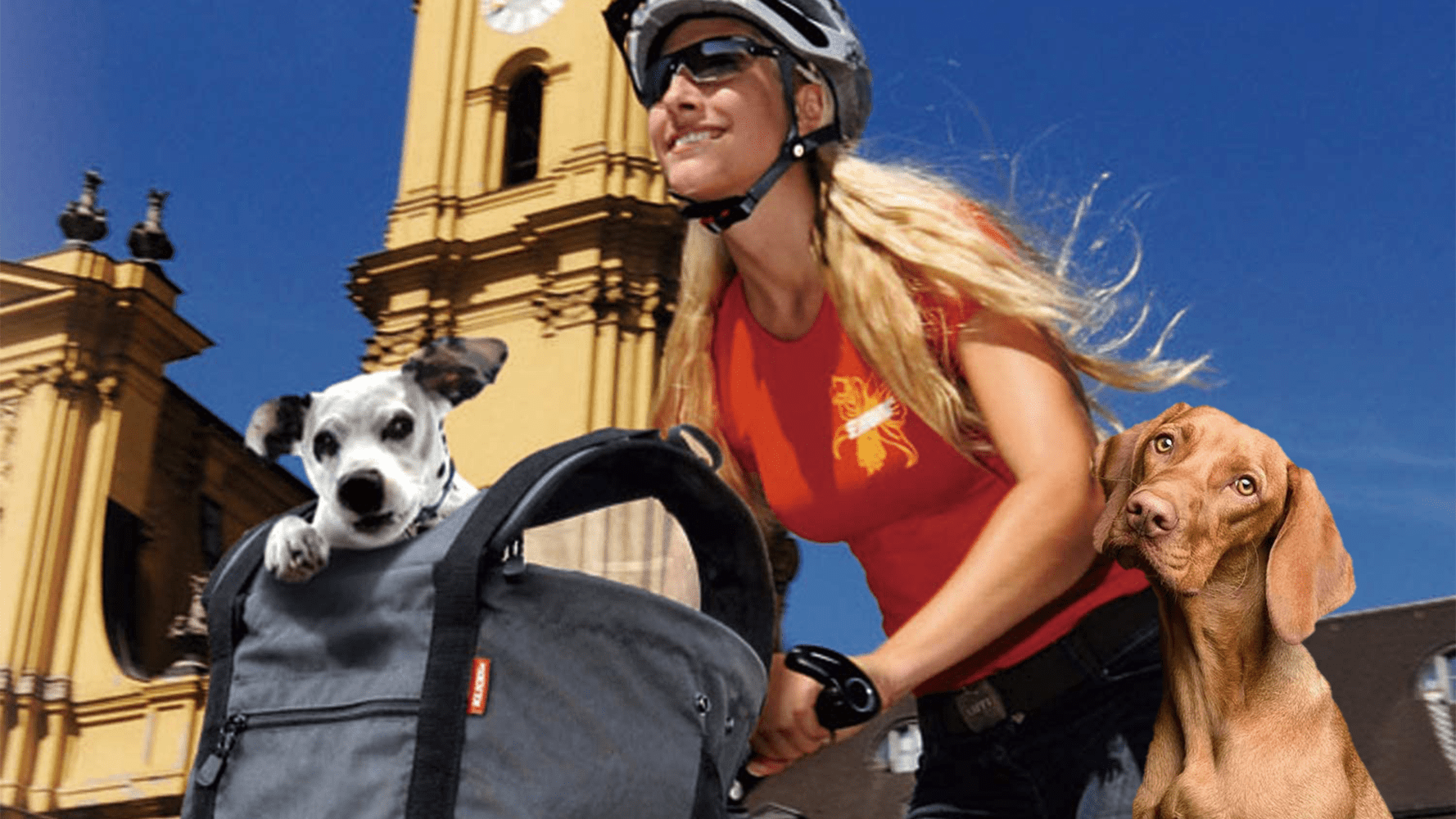 Die 5 besten Hundefahrradkörbe für Vorne im Test ([year])