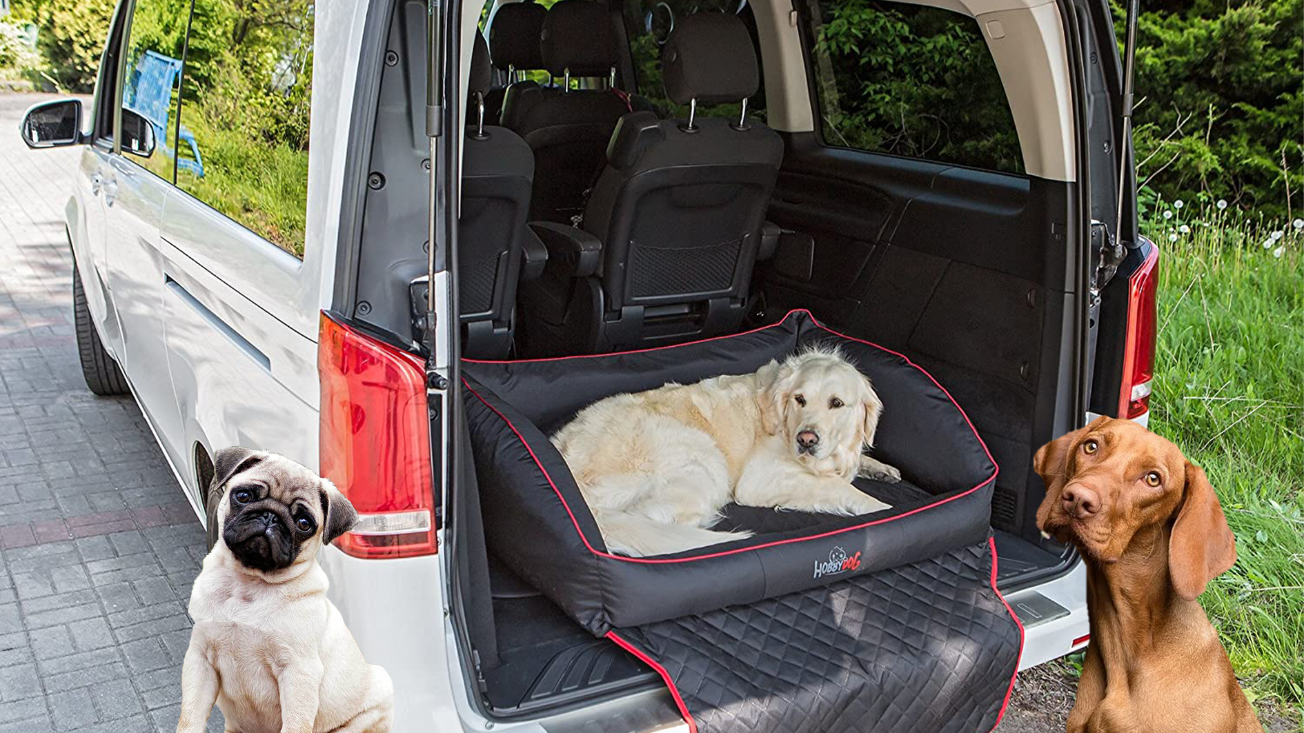 Kofferraumschutz: Hundematte/Vergleich
