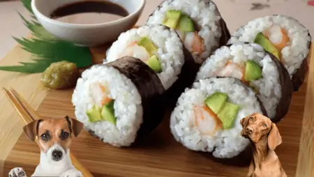 Dürfen Hunde Sushi essen
