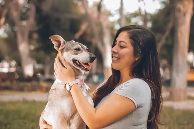 Hundetrainer tv