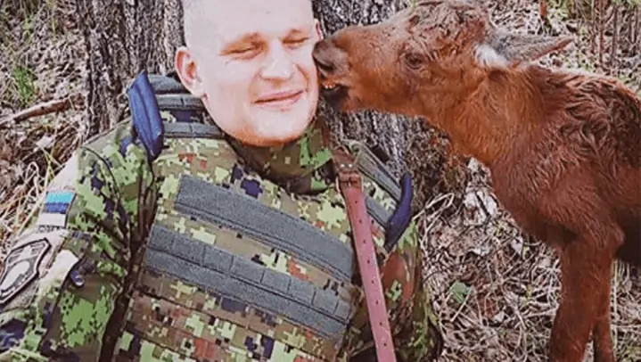 Soldat und Elchkalb - Eine ungewöhnliche Begegnung