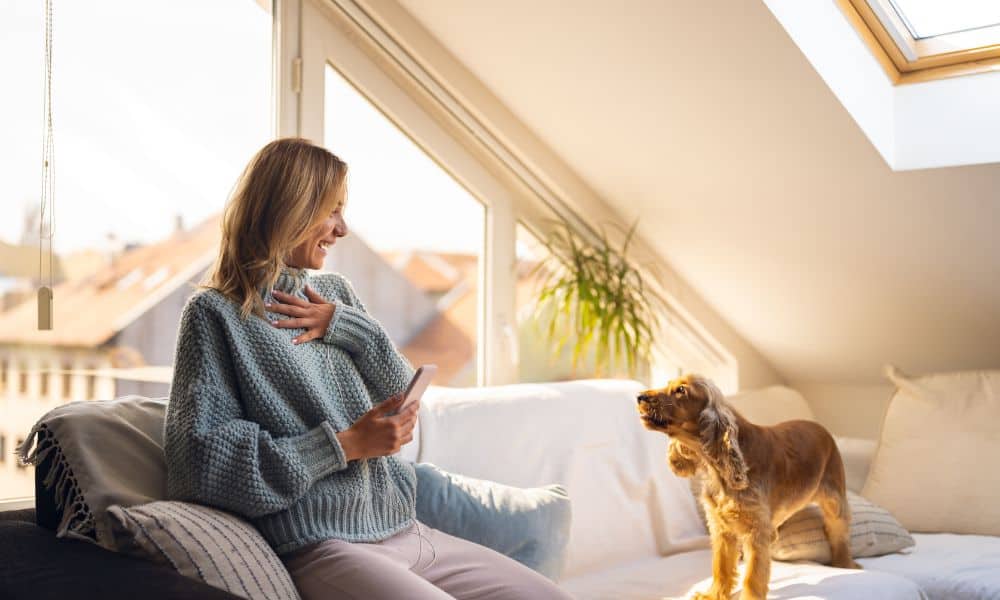 hund bellt neben frauchen