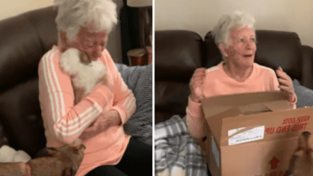 Großmutter wird mit Welpen überrascht und bricht vor Dankbarkeit in Tränen aus