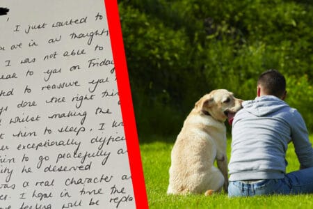 Herrchen trauert um den Tod seines Hundes - Dann trifft dieser unerwartete Brief vom Tierarzt ein