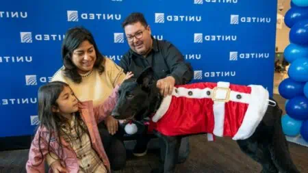 Absolut herzlos Passagier setzt seinen Hund am Flughafen aus – doch dann geschieht ein Wunder