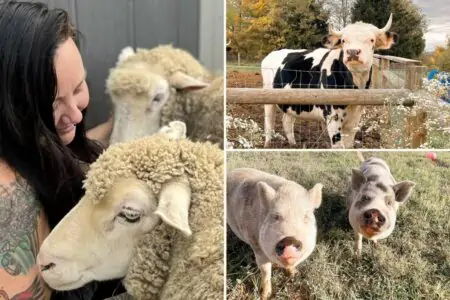 Sie tauschte Glanz und Glamour gegen Dreck – der Grund dafür ist absolut herzergreifend