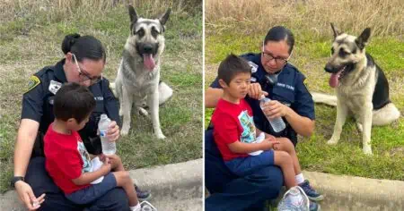 Polizei rettet Kind mit Down-Syndrom von Bahngleisen - Sein treuer Hund beschützt ihn die ganze Zeit