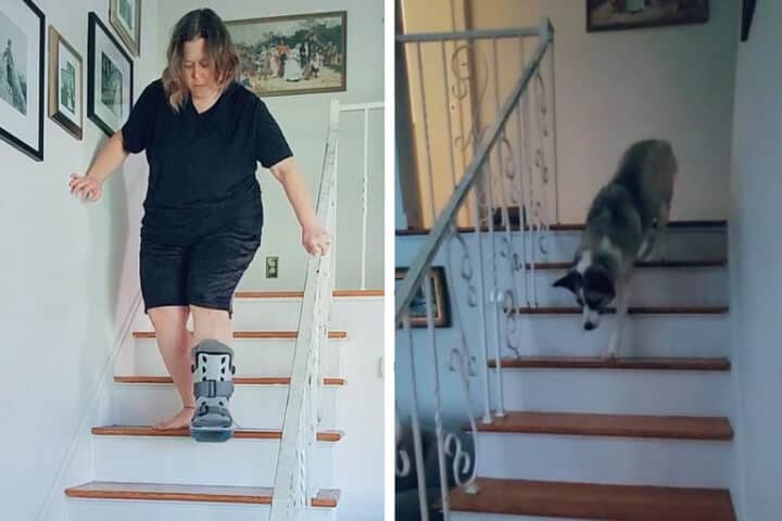 Wie das Frauchen, so der Hund: beide gehen mit großer Vorsicht die Treppe hinunter.  © Fotomontage: Screenshots/TikTok/ash_laughs
