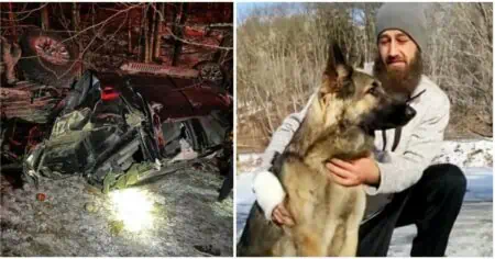 Deutscher Schäferhund rettet Herrchen nach schwerem Auto-Unfall - Er holte selbst die Polizei