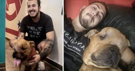 Keiner wollte den Hund mit Tumor im Gesicht adoptieren – bis dieser Mann in sein Leben trat und…