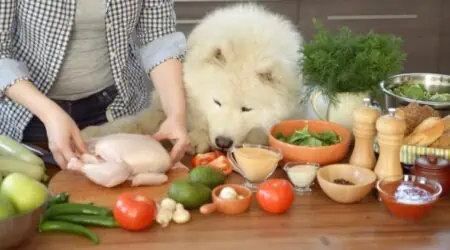 Kochen für Hunde
