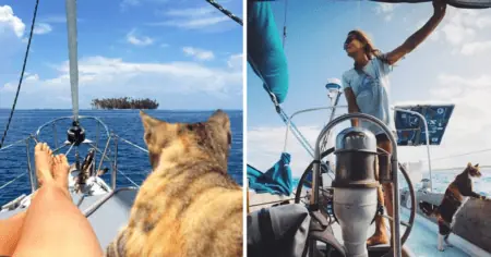 Eine unglaubliche Geschichte Frau kündigt Job und segelt gemeinsam mit ihrer Katze um die Welt