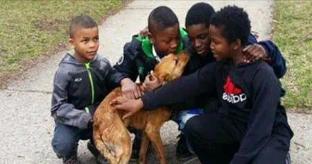 Nach Gräueltat 4 Kinder retten ausgesetztem Hund das Leben – und werden im Netz als Helden gefeiert