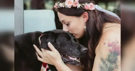 Todkranker Hund begleitet Braut zum Altar – der emotionale Auftritt rührt Tausende zu Tränen