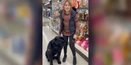 Blindenhund soll Frau zu ihrer Mutter führen – wo er sie dann hinbringt, sorgt für einen Lachanfall