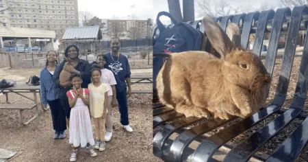 Geschichte rührt zu Tränen Vater schläft auf Straße, um das Kaninchen seiner Kinder zu behalten