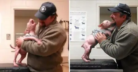 Mann rettet Welpen und bringt ihn in die Tierklinik - Was er dann tut, berührt Millionen Herzen