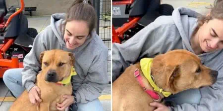 Tierheim-Hund lächelt jeden an, um adoptiert zu werden - doch niemand interessiert sich für ihn…