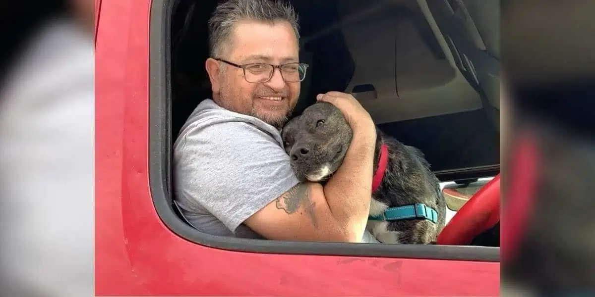 Tierheim-Hund wartete 1 Jahr auf Familie - Seine Reaktion als er adoptiert wird, ist herzergreifend