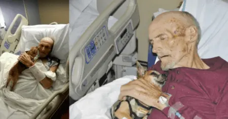 Video rührt zu Tränen Todkranker Mann sieht seinen Hund wieder, nachdem er im Tierheim landete