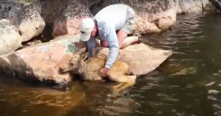 Was dieser Fischer in einem Fluss entdeckt, lässt sein Herz stillstehen