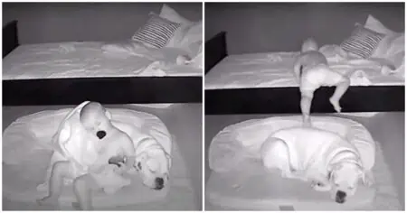 Nachtkamera zeigt magischen Moment: Junge steigt aus Bett, was er dann tut, lässt Herzen schmelzen