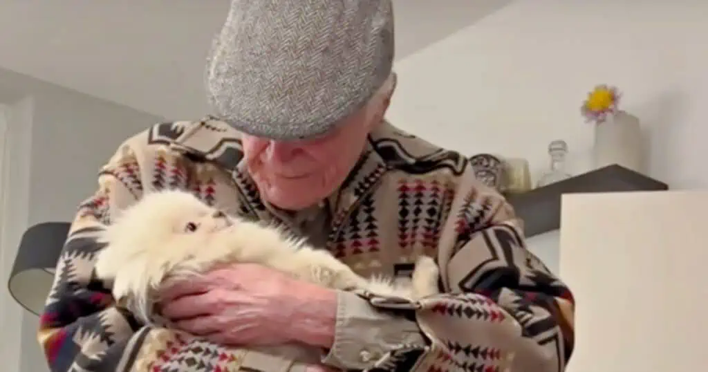Diese Geschichte ist so unglaublich rührend Liebevolle Hündin rettet alten Mann vor Einsamkeit