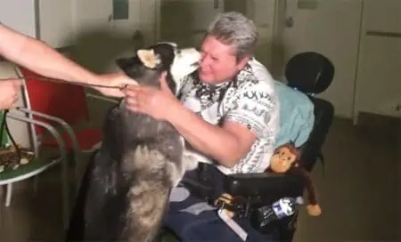 Mann findet seinen entlaufenen Therapiehund wieder - Doch der Finder weigert sich, ihn zurückzugeben