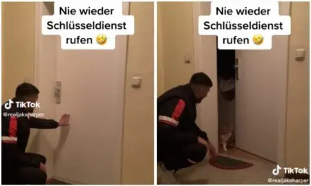 Mann hat sich ausgesperrt - Was diese Katze tut, um ihm zu helfen, macht sprachlos