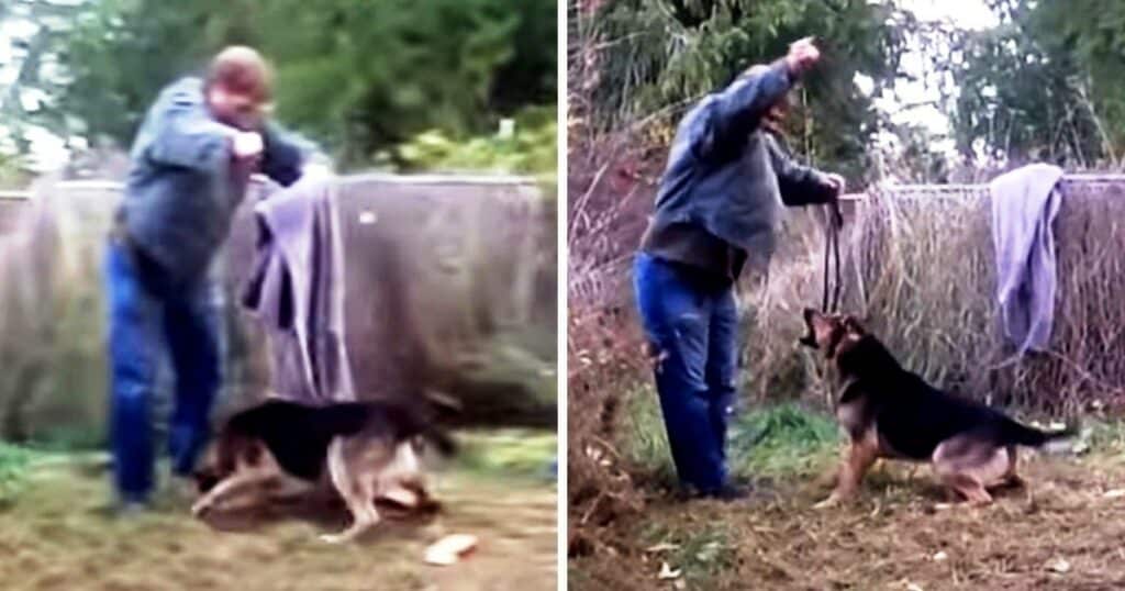 Mann rettet Hund und wird von ihm angegriffen - Der Grund dahinter ist schockierend