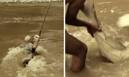 Video geht um die Welt Mann zieht ein menschengroßes Tier aus dem Wasser