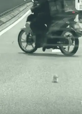Ein Mopedfahrer hält an